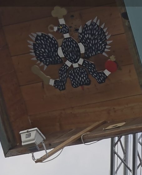 Hochadler der Erwachsenen