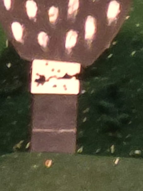 Jugendadler vor dem Fall